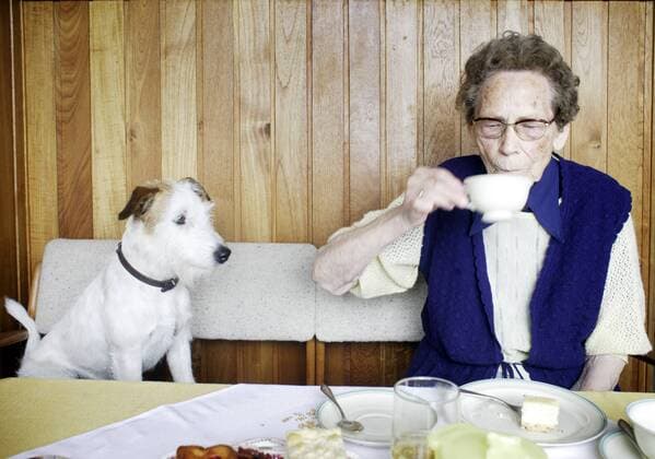 Eine Seniorin mit ihrem Hund . Berlin , Deutschland . Senior with her dog . Berlin . Germany . 14.07.2008 . MODEL RELEASE vorhanden , MODEL RELEASED , Berlin DEU Deutschland Copyright: xLiesaxJohannssenx