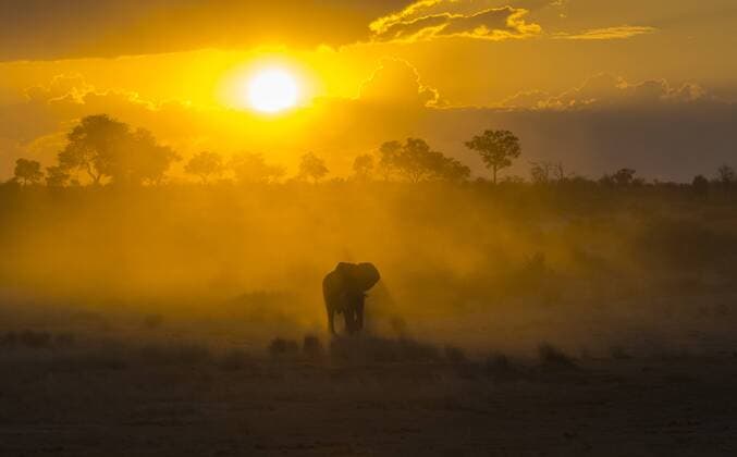 IMAGO Nature: Unsere Erde, Naturschutz, Naturschutzgebiete in Afrika Elefant im Khaudum Nationalpark in Namibia. Der Park ist Teil des grenzuebergreifenden Nationalpark - Projektes KAZA, finanziert durch dien deutsche Entwicklungszusammenarbeit . . Namibia Khaudum Nationalpark, 19.05.2013 Khaudum Nationalpark Namibia Copyright: xThomasxImox