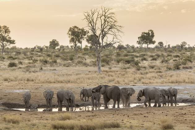 IMAGO Nature: Unsere Erde, Naturschutz, Naturschutzgebiete in Afrika Elefanten an einem solarbetriebnen Wasserloch im Khaudum Nationalpark. Der Park ist Teil des grenzuebergreifenden Nationalpark - Projektes KAZA, finanziert durch dien deutsche Entwicklungszusammenarbeit . Namibia . 19.05.2013 Tsumke Namibia Copyright: xThomasxImox