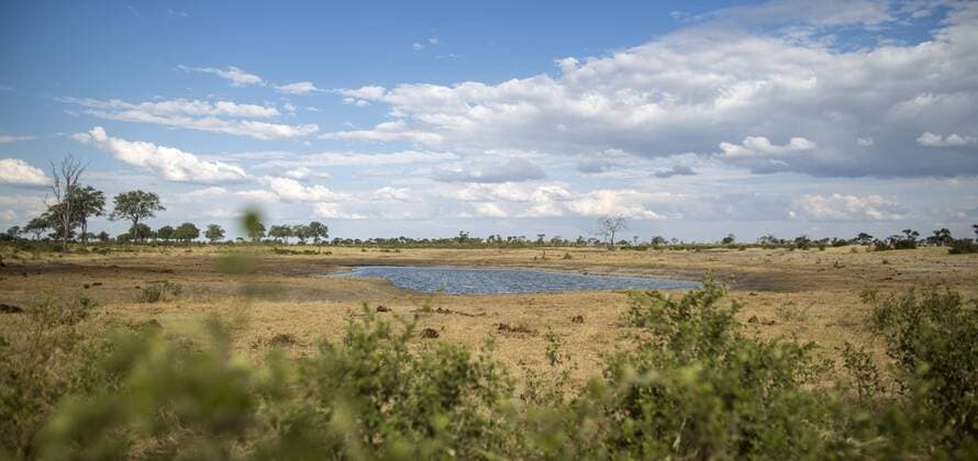 IMAGO Nature: Unsere Erde, Naturschutz, Naturschutzgebiete in Afrika Wasserloch im Khaudum Nationalpark in Namibia. Der Park ist Teil des grenzuebergreifenden Nationalpark - Projektes KAZA, finanziert durch die deutsche Entwicklungszusammenarbeit. Namibia Khaudum Nationalpark, 20.05.2013 Khaudum Nationalpark Namibia Copyright: xThomasxImox