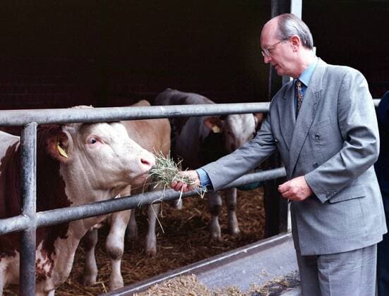 Bundeslandwirtschaftsminister Jochen Borchert, CDU, fuettert Kuehe in einem landwirtschaftlichen Betrieb bei Dortmund, Kuh , Tiere , 29.07.1998 , Dortmund Deutschland Copyright: xThomasxImox