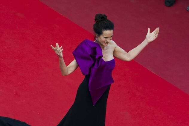 217839 Scanella Starface 2017-05-21 Cannes France 70eme Festival International du Film de Cannes. Montee des Marches du film The Meyerowitz Stories . 70th International Cannes Film Festival. Red Carpet of The Meyerowitz Stories movie . MacDowell, Andie  Copyright: xScanellax STAR_217839_029