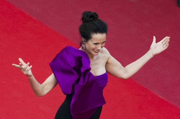 217839 Scanella Starface 2017-05-21 Cannes France 70eme Festival International du Film de Cannes. Montee des Marches du film The Meyerowitz Stories . 70th International Cannes Film Festival. Red Carpet of The Meyerowitz Stories movie . MacDowell, Andie  Copyright: xScanellax STAR_217839_030