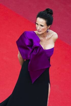217839 Scanella Starface 2017-05-21 Cannes France 70eme Festival International du Film de Cannes. Montee des Marches du film The Meyerowitz Stories . 70th International Cannes Film Festival. Red Carpet of The Meyerowitz Stories movie . MacDowell, Andie  Copyright: xScanellax STAR_217839_031