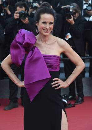 Andie MacDowell attends the screening of The Meyorowitz Stories at the 70th Cannes Film Festival at Palais des Festivals in Cannes, France. MAY 21st 2017  RHDx171036