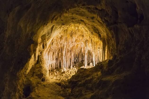 USA, New Mexico, Carlsbad Caverns, Big Room  FOF09221