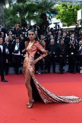 70th Cannes Film Festival 2017, Red carpet film The Beguiled . Pictured: Neelam Gill  Copyright: xSimonexComix xCannesx xIPAx xCannesx