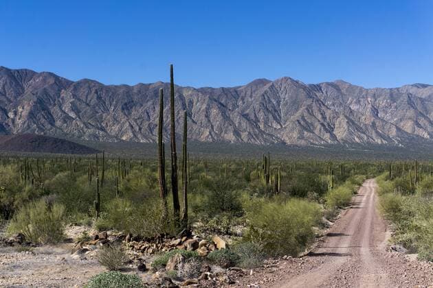 On the road in Baja California, Mexico, North America Copyright: PeterxGroenendijk 483-2068