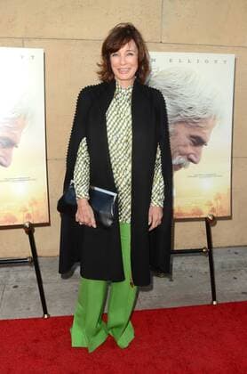 LOS ANGELES - JUN 5: Anne Archer at The Hero Premiere at the Egyptian Theater on June 5, 2017 in Los Angeles, CA  Copyright: xHPAx xIPAx xHutchinsxPhotox