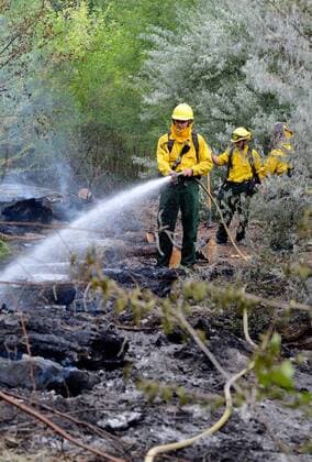 June 6, 2017 - Albuquerque, NM, U.S. - AFD Wildland firefighters hit the hot spots on a bosque fire Tuesday morning. AFD is calling it the Tingley Fire is less than a 1 4 acre in size and they have ruled out natural causes. Tuesday June. 09, 2017. Albuquerque U.S. - ZUMAab1_ 20170606_zaf_ab1_005 Copyright: xJimxThompsonx