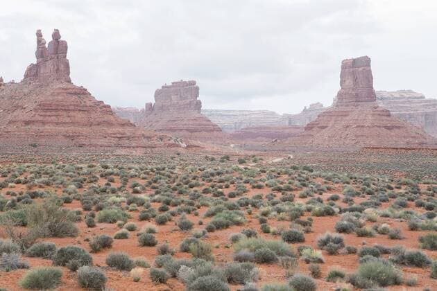 Valley of the Gods in the heart of Bears Ears National Monument Valley of the Gods in the heart of Bears Ears National Monument  29585
