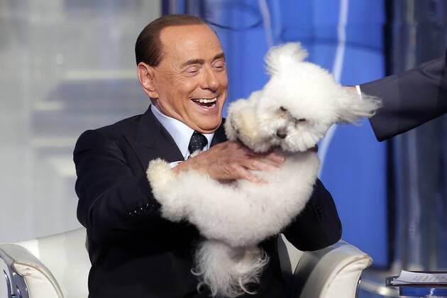 Bilder des Tages Sorpresa per Silvio Berlusconi. Gli viene portato in studio un cane che sembra Dudu As a surprise, Silvio Berlusconi is given a dog that seems Dudu , one of the four he has at home, but the dog doesn t seem comfortable in his arms Roma 21 06 2017. Rai. Trasmissione Tv Porta a Porta Rome June 21st 2017. Tv Show Porta a Porta . Foto Samantha Zucchi Insidefoto SamanthaxZucchi