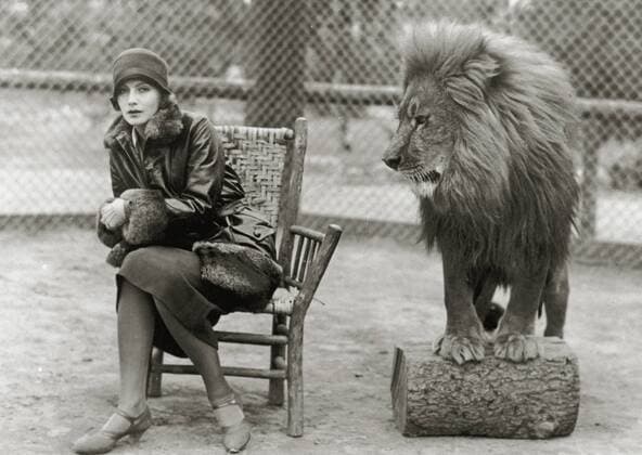 Publicity photo of Greta Garbo and Leo, the lion mascot for MGM studios, circa 1926 Los Angeles CA  Copyright: xDonxGillumx xMGMx 32733_287THA