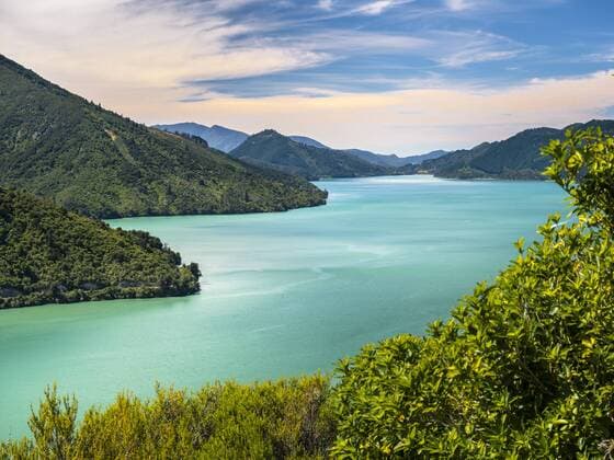 New Zealand, Southern Island, Marlborough Sounds National Park  STSF01204