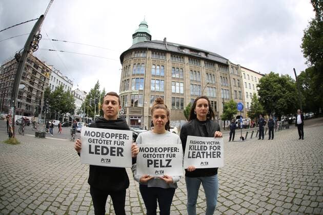 Germany: Demonstration against the agony of the animals Bikini-clad PETA supporters demonstrate with big leather bags at the beginning of the Fashion Week in front of the Jahndorf-Kaufhaus in Berlin Mitte. Sexy action against agony of the animals  SimonexKuhlmey