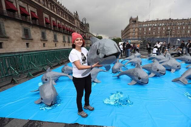 July 8, 2017 - Mexico - EUM20170807ACT08.JPG.CIUDAD DE MEXICO Animal Protection Proteccion Animal-Vaquita Marina.- Integrantes del World Wildlife Found (WWF Fondo Mundial para la Naturaleza-) realizan actividades de concientizacion para la preservacion de la vaquita marina, especie en peligro de extincion, el 8 de julio de 2017 en el Zocalo de esta capital. Foto: Agencia EL UNIVERSAL EVZ Mexico  - ZUMAu78_ 20170708_zaf_u78_028 Copyright: xArielxOjedax