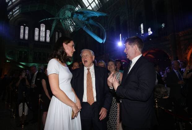 . 13 07 2017. London, United Kingdom. Duchess of Cambridge Natural History Museum. The Duchess of Cambridge and Sir David Attenborough attend the reopening of Hintze Hall at the Natural History Museum in London.  xi-Imagesx xPoolx IIM-15566-0005