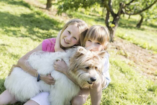 Two smiling sisters cuddling with dog on meadow model released Symbolfoto property released  SHKF00770