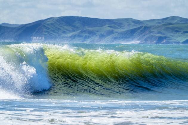 IMAGO Nature: Unsere Erde, Naturschutz, Naturschutzgebiete in Ozeanien New Zealand, North Island, Raglan, Ngarunui Beach, Manu Bay, breaking wave  STSF01227