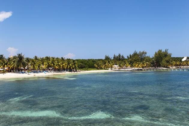 Palmen, Strand von der Insel Isla Mujeres, Cancun, 2014 Cancun Mexico Copyright: xkolbert-press ChristianxKolbertx