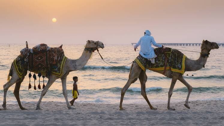A young boy follows a man riding a camel in Dubai, United Arab Emirates, Middle East Copyright: AlexandrexRotenberg 1243-129 Editorial Use Only