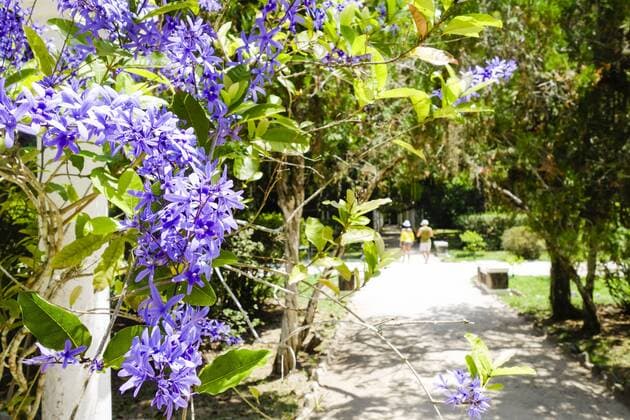 Rio de Janeiro, Botanischer Garten, Jardim Botanico, Brasilien Copyright: xKTHx ALLBR843129