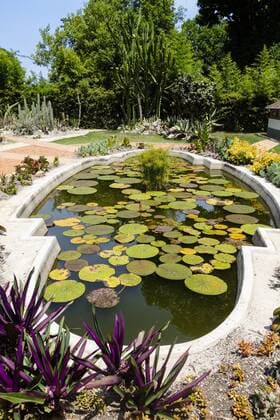 Rio de Janeiro, Botanischer Garten, Jardim Botanico, Brasilien Copyright: xKTHx ALLBR843216