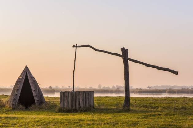 Pannonnisch, Seewinkel, Burgenland, Österreich Copyright: xKTHx ALLAT860611