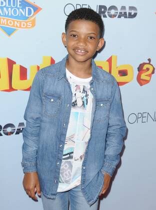 August 4, 2017 - Hollywood, California, U.S. - Lonnie Chavis attends The Los Angeles Premiere of The Nut Job 2 Nutty by Nature held at the Regal Cinemas at LA Live in Los Angeles, California on August 4, 2017. 2017 Hollywood U.S. - ZUMAl86_ 20170804_zaf_l86_026 Copyright: xDavexLongendykex