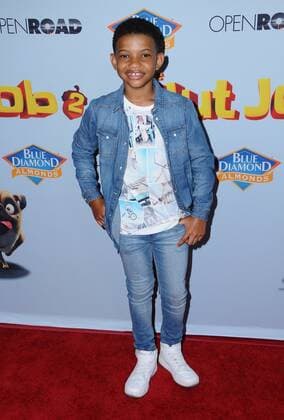 August 5, 2017 - Los Angeles, CA, U.S. - 05 August 2017 - Los Angeles, California - Lonnie Chavis. World premiere of Nut Job 2: Nutty by Nature held at Regal Cinema at L.A. Live in Los Angeles. Photo Credit: AdMedia Los Angeles U.S. - ZUMAa123 20170805_zaa_a123_027 Copyright: xBirdiexThompsonx