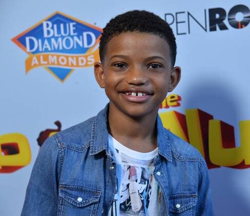 Actor Lonnie Chavis attends the premiere of the animated motion picture comedy The Nut Job 2: Nutty by Nature at Regal Cinemas LA Live in Los Angeles on August 5, 2017. Storyline: Following the events of the first film, Surly and his friends must stop Oakton City s mayor from destroying their home to make way for a dysfunctional amusement park.  LAP2017080537 JIMxRUYMEN