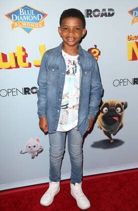 August 5, 2017 - Los Angeles, U.S. - 05 August 2017 - Los Angeles, California - Lonnie Chavis. Nut Job 2: Nutty by Nature World Premiere held at Regal Cinema at L.A. Live. Photo Credit: AdMedia Los Angeles U.S. - ZUMAa123 20170805_zaa_a123_126 Copyright: xF.xSadoux