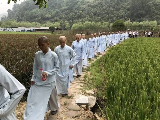 ZHANGJIAJIE, CHINA - AUGUST 21: China s first monks chorus, Dawn chorus from Tiantai Temple Conservatory of Buddhist Music, attend the 2017 Huanglong Music Festival and International Chorus Week on August 21, 2017 in Zhangjiajie, Hunan Province of China. 112 teams will compete in the 2017 Huanglong Music Festival and International Chorus Week held in Zhangjiajie.  Copyright: xVCGx CFP111123804636