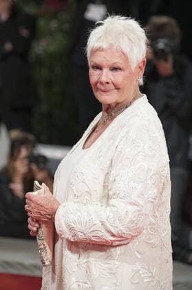 Judi Dench attending the Victoria & Abdul premiere at the 74th Venice International Film Festival at the Palazzo del Cinema on September 03, 2017 in Venice, Italy Foto:xDaziramx xFuturexImage