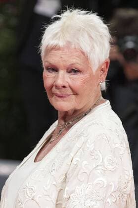 Judi Dench attending the Victoria & Abdul premiere at the 74th Venice International Film Festival at the Palazzo del Cinema on September 03, 2017 in Venice, Italy Foto:xDaziramx xFuturexImage