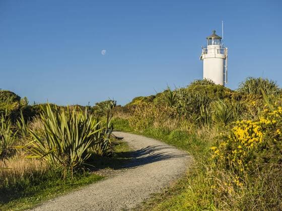  Leuchtturm am Cape Foulwind, Tauranga Bay, Region Westcoast, Südinsel, Neuseeland, Ozeanien *** Lighthouse at Cape Foul winds Tauranga Bay Region West Coast South Island New Zealand Oceania Copyright: imageBROKER/StefanxSchurr ibxssc04545226.jpg