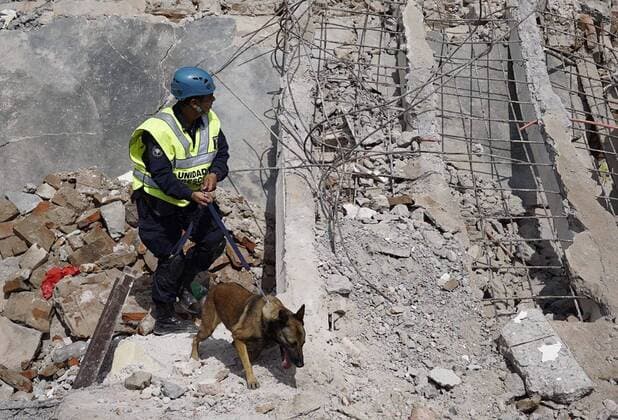 (170908) -- OAXACA (MEXICO), Sept. 8, 2017 -- A member of security forces works with a rescue dog over debris from collapsed structures after an earthquake in the town of Juchitan, Oaxaca state, Mexico, on Sept. 8, 2017. The 8.2 magnitude quake which rocked Mexico on Thursday night has now left a preliminary death toll of 58, Mexico s national earthquake service, SSN, said on Friday. ) MEXICO-OAXACA-EARTHQUAKE DavidxdexlaxPaz 