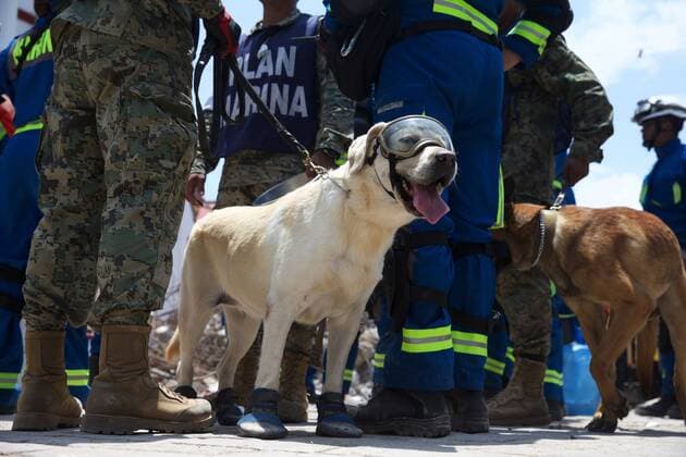 (170910) -- JUCHITAN (MEXICO), Sept. 10, 2017 -- Rescue workers and dogs wait to enter a searching zone after an earthquake hit in Juchitan, Oaxaca state, Mexico, Sept. 9, 2017. A powerful earthquake measuring 8.2 on the Richter scale struck off Mexico s southern coast late Thursday night, killing 90 people. ) MEXICO-OAXACA-JUCHITAN-EARTHQUAKE DanxHang 
