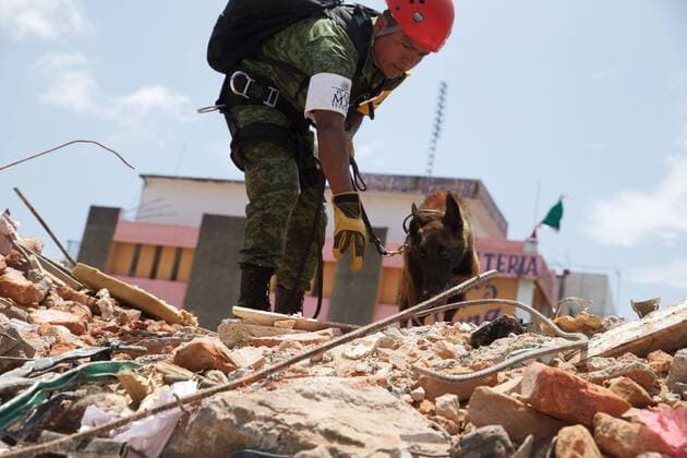 (170910) -- JUCHITAN (MEXICO), Sept. 10, 2017 -- A rescue worker and his dog search at the building collapse site after an earthquake hit in Juchitan, Oaxaca state, Mexico, Sept. 9, 2017. A powerful earthquake measuring 8.2 on the Richter scale struck off Mexico s southern coast late Thursday night, killing 90 people. ) MEXICO-OAXACA-JUCHITAN-EARTHQUAKE DanxHang 