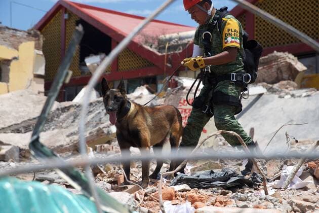 (170910) -- JUCHITAN (MEXICO), Sept. 10, 2017 -- A rescue worker and his dog search at the building collapse site after an earthquake hit in Juchitan, Oaxaca state, Mexico, Sept. 9, 2017. A powerful earthquake measuring 8.2 on the Richter scale struck off Mexico s southern coast late Thursday night, killing 90 people. ) MEXICO-OAXACA-JUCHITAN-EARTHQUAKE DanxHang 