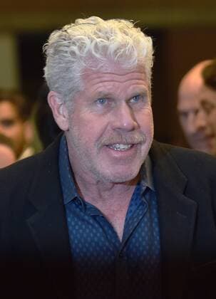Ron Perlman attends the Toronto International Film Festival premiere of The Shape of Water at the Elgin Theatre in Toronto, Canada on September 11, 2017.  TOR2017091149 CHRISTINExCHEW