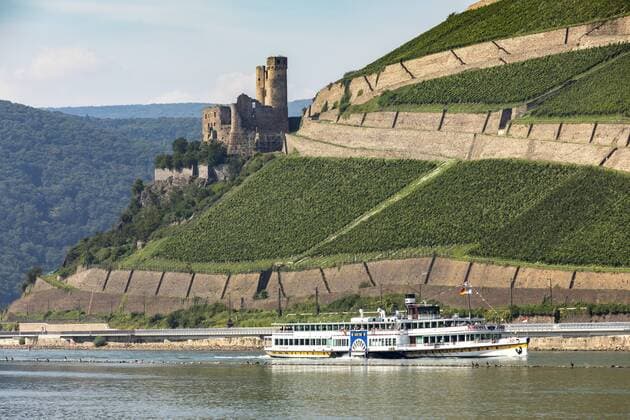 Ruin the Burg Ehrenfels in Superiors Middle Rhine Valley Vineyards at Rüdesheim Excursion boat Paddle steamer Goethe