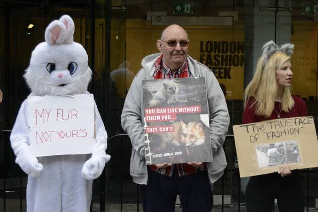 September 15, 2017 - London, United Kingdom - An animalist protest takes place outside the BFC Showspace in Central London, on September 15, 2017. The demonstrators protested against the animal oppression in the fashion industry. London United Kingdom  - ZUMAn230 20170915_zaa_n230_112 Copyright: xAlbertoxPezzalix