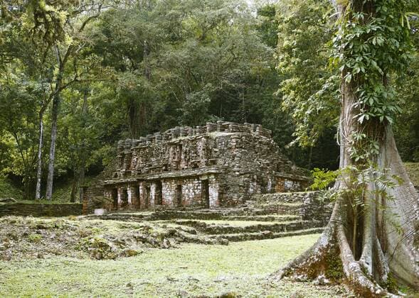 Temple Yaxchilan Maya site Selva Dona Lacan Federal state Chiapas Mexico Central America Copyright: imageBROKER/MartinaxKatz iblcxb04551665.jpg