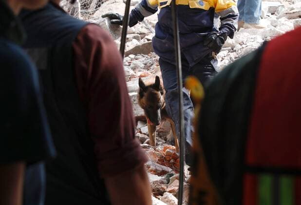 Schweres Erdbeben erschüttert Mexiko (170920) -- MEXICO CITY, Sept. 20, 2017 -- A rescuer works with his dog on a collapsed building after an earthquake in Mexico City, capital of Mexico, on Sept. 19, 2017. More than 100 people were killed in a powerful 7.1-magnitude earthquake that hit central Mexico on Tuesday, and the number of deaths is expected to rise due to the scale of the quake. Montserrat Lopez) (dtf) MEXICO-MEXICO CITY-EARTHQUAKE e MONTSERRATxLOPEZ 