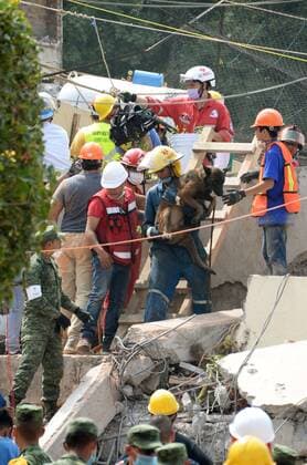 Rescue operations in Mexico City under way Rescue operations with search dogs are under way at a collapsed school building in Mexico City on Sept. 20, 2017, after an earthquake with a magnitude of 7.1 hit the capital. Authorities said the death toll has reached 230. 