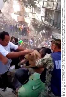 Earthquake in Mexico: The death toll rises to 237. An earthquake of magnitude 7.1 hit Mexico on Tuesday. A young girl trapped in the rubble of her collapsed school in Mexico City raised hopes among hundreds of rescuers working furiously to try to free her. This catastrophe occurs 32 years to the day after the powerful earthquake of 1985 which had caused more than 10,000 deaths. Mexico Mexico  549046