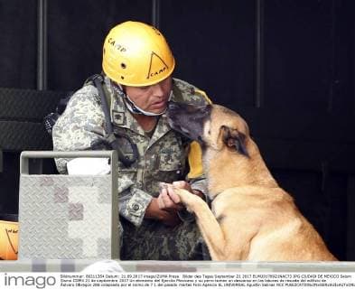 Bilder des Tages September 21 2017 EUM20170921NAC73 JPG CIUDAD DE MEXICO Seism Sismo CDMX 21 de septiembre 2017 Un elemento del Ejercito Mexicano y su perro toman un descanso en las labores de rescate del edificio de Ãlvaro Obregon 286 colapsado por el sismo de 7 1 del pasado martes Foto Agencia EL UNIVERSAL Agustin Salinas RCC  - ZUMAu78_ 20170921_zaf_u78_100 Copyright: xAgustinxSalinasx