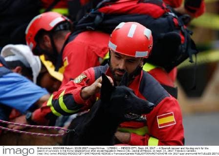 (170924) -- MEXICO CITY, Sept. 24, 2017 -- A Spanish rescuer and his dog work for the search of survivors in the Roma neighborhood after an earthquake in Mexico City, capital of Mexico, on Sept. 23, 2017. Francisco Canedo) (ma) (fnc) (whw) MEXICO-MEXICO CITY-EARTHQUAKE-RESCUE e FranciscoxCanedo 