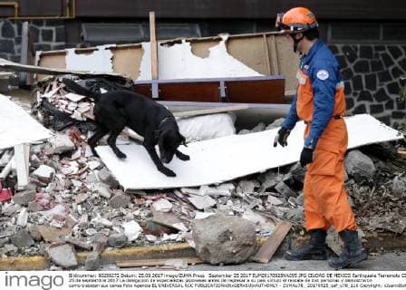 September 25 2017 EUM20170925NAC95 JPG CIUDAD DE MEXICO Earthquake Terremoto CDMX 25 de septiembre 2017 La delegacion de especialistas japoneses antes de regresar a su pais simulo el rescate de dos personas y demostraron como trabajan sus canes Foto Agencia EL UNIVERSAL RCC  - ZUMAu78_ 20170925_zaf_u78_116 Copyright: xJuanxBoitesx